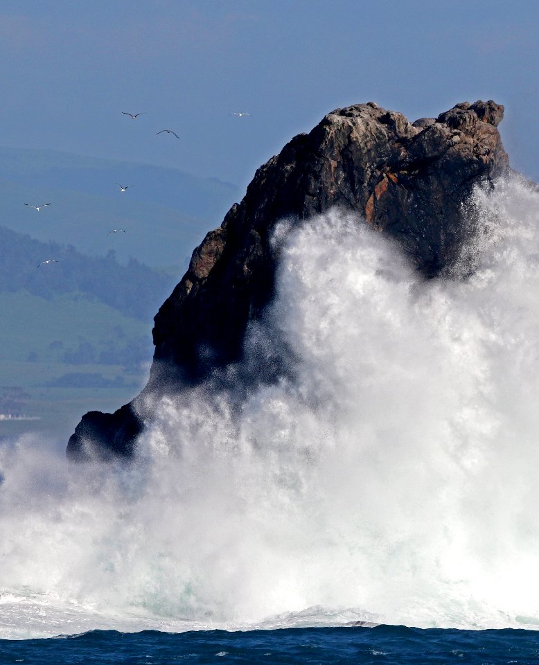 Piedras Blancas Light Station Outstanding Natural Area