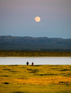 Super Bloom 2017 at Carrizo Plain National Monument