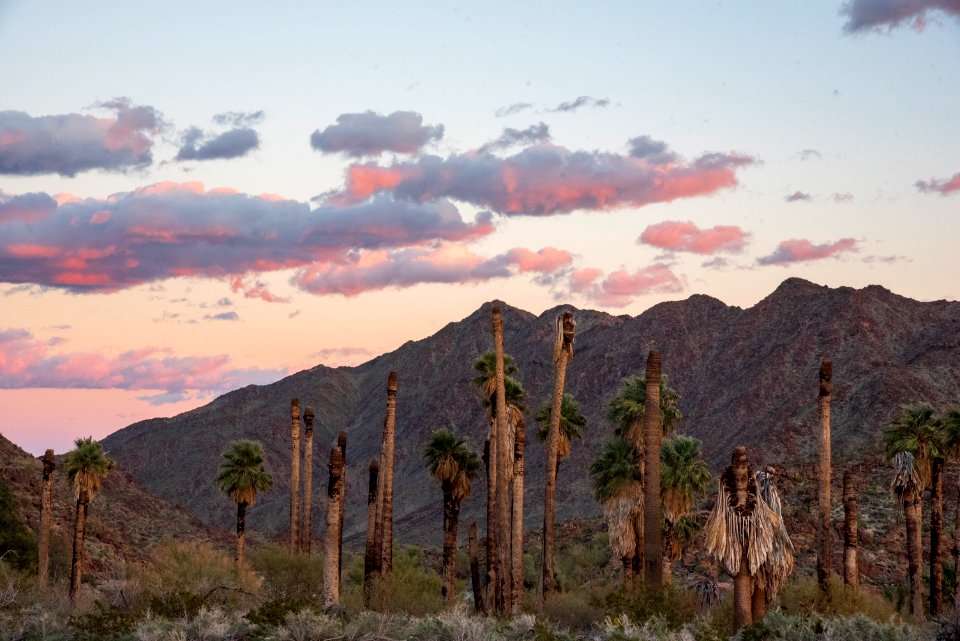 Corn Springs Campground