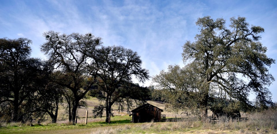Cronan Ranch