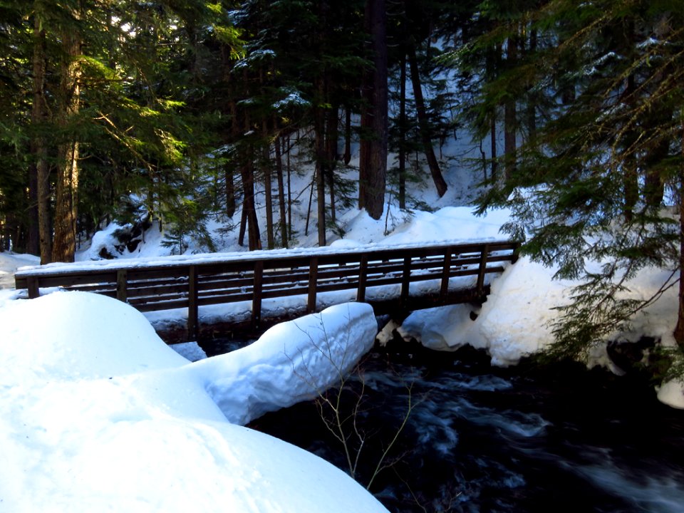 Tamanawas Falls Trail at Mt. Hood in Oregon