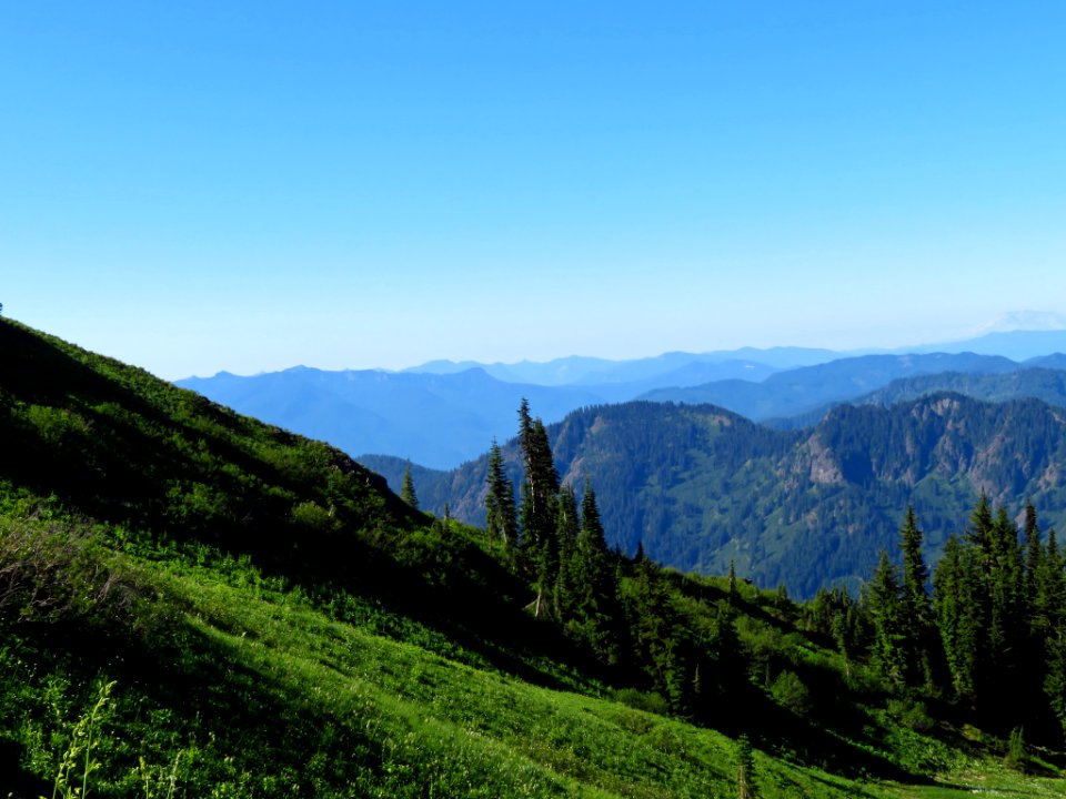 Tatoosh Peak Trail in WA