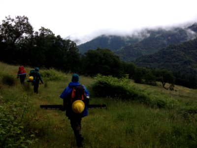 From the Field with SCA