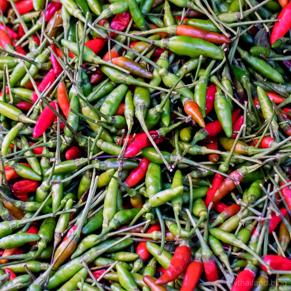 Little Thai Chiles