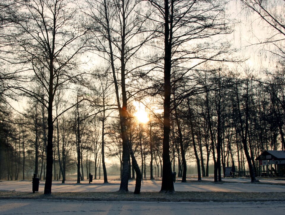 Sunrise park nature