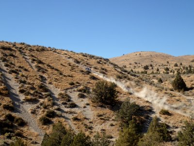 Rice Canyon OHV Area in Eagle Lake Field Office