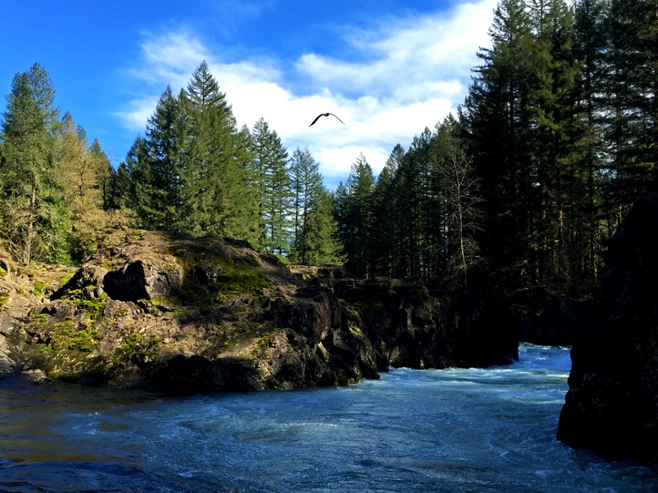 Lucia Falls Park at Lewis River in Washington
