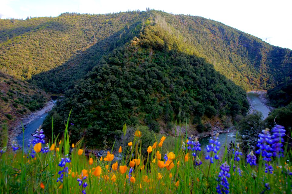 North Fork of the American River
