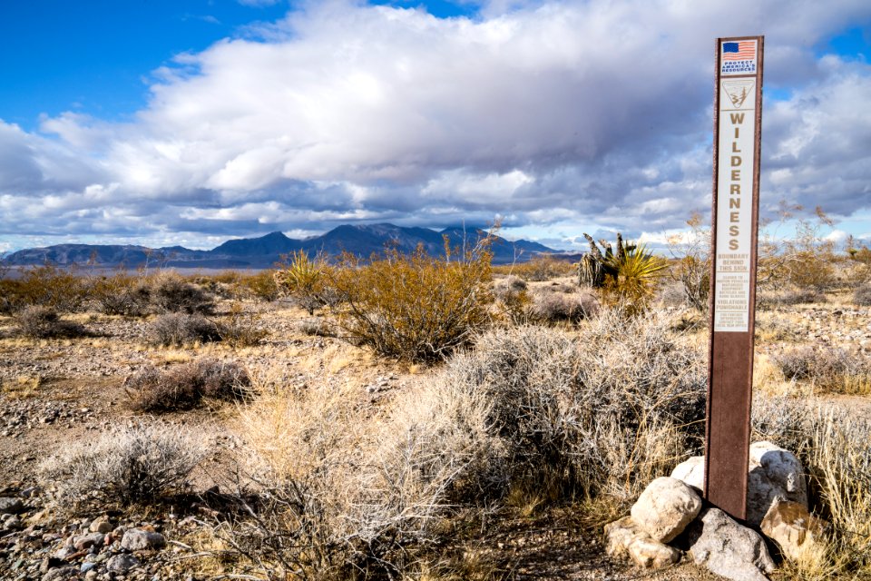 Pahrump Valley Wilderness photo