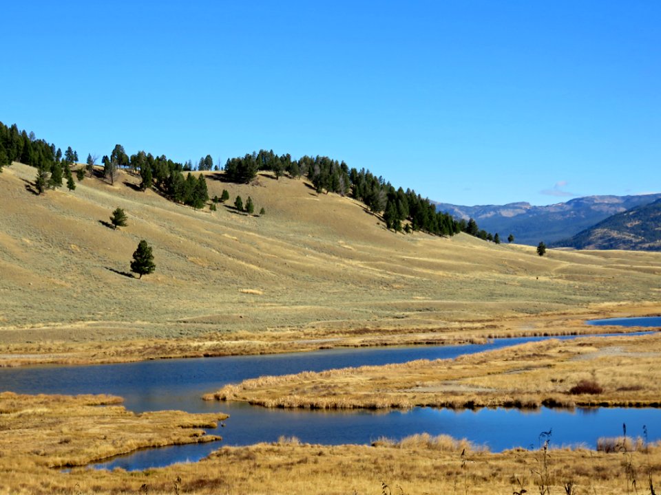 Yellowstone NP in Wyoming