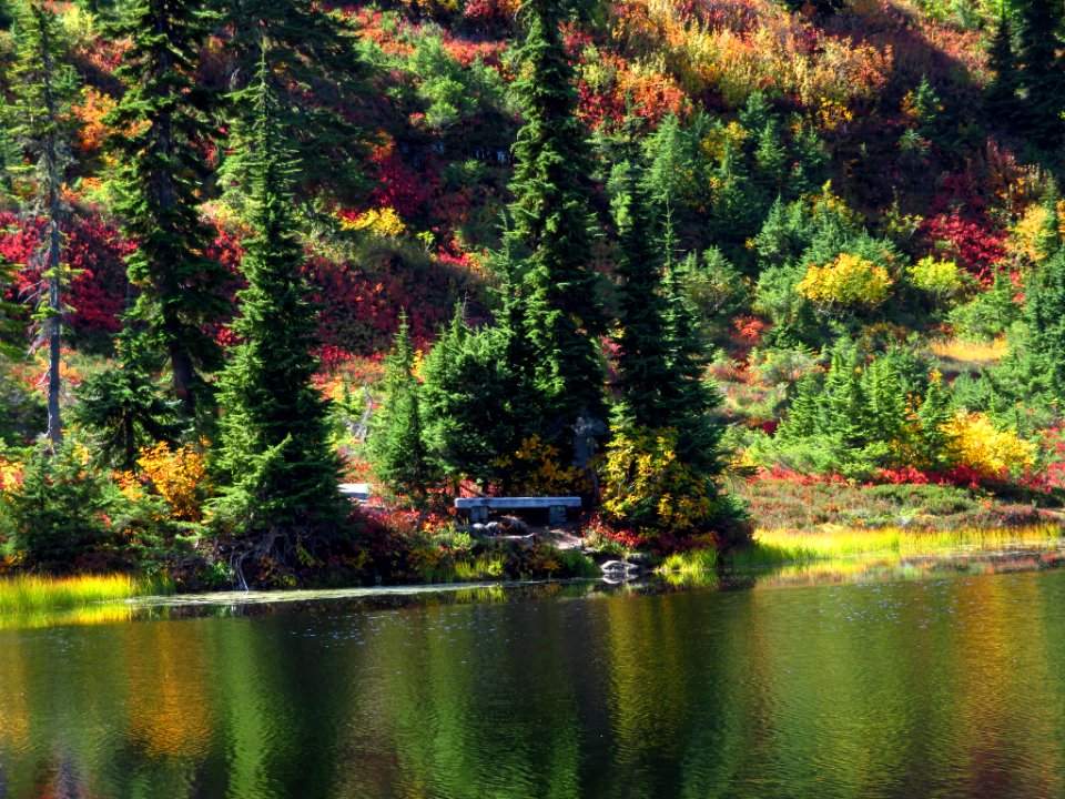Autumn at Picture Lake in WA