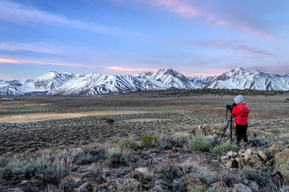 Long Valley Grouse Counting in Bishop Field Office