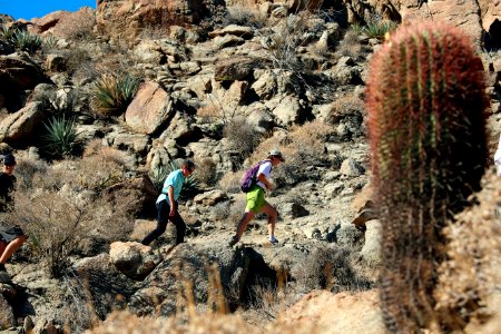 Interior Secretary Jewell, State of California Announce Landmark Renewable Energy, Conservation Plan for 10 Million Acres of California Desert on September 14, 2016 photo