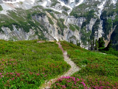 Cascade Pass at North Cascades NP in WA