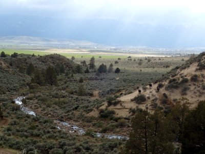 Rice Canyon OHV Area
