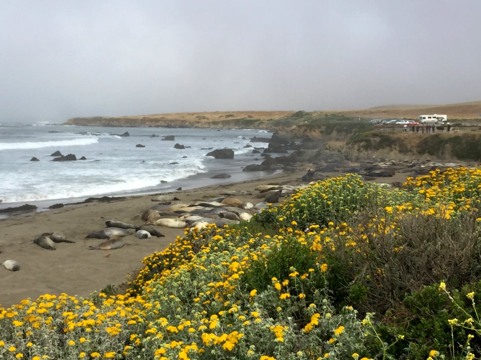 Piedras Blancas Light Station