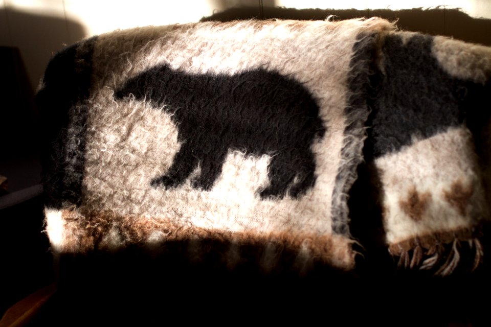Bear Blanket Warm