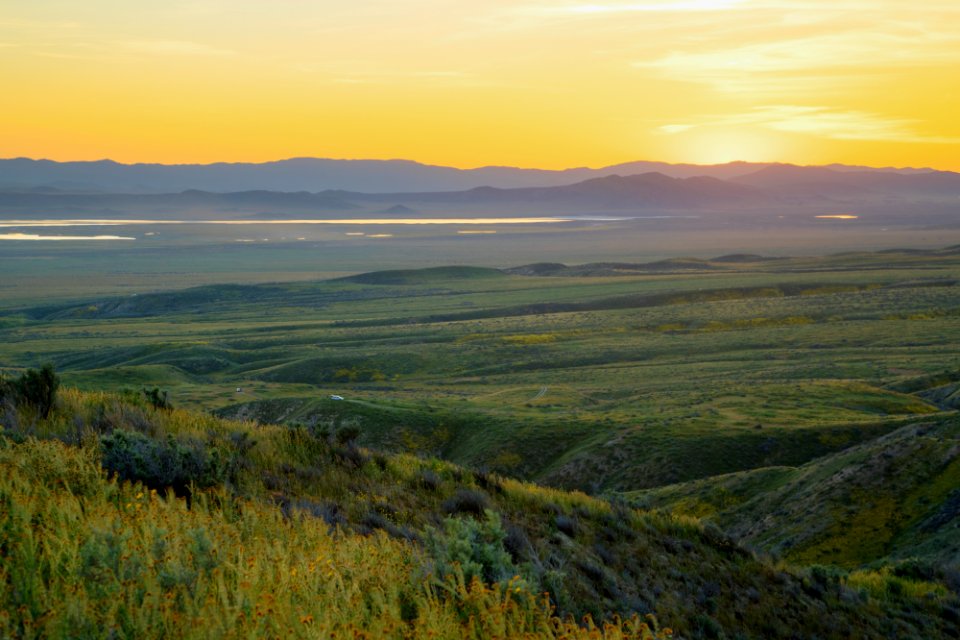 Super Bloom 2017 at Carrizo Plain National Monument