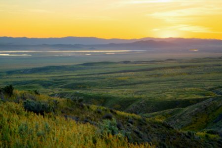 Super Bloom 2017 at Carrizo Plain National Monument