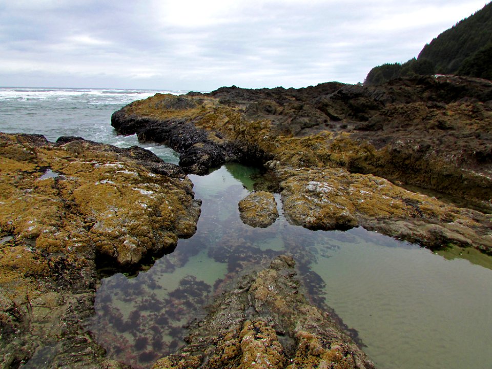 Cape Perpetua in Oregon