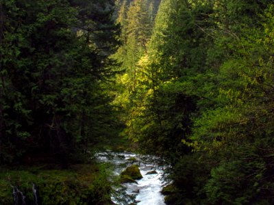 Spirit Falls Trail on Little White Salmon River in WA photo