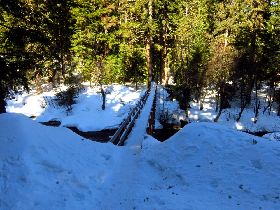 Tamanawas Falls Trail at Mt. Hood in Oregon