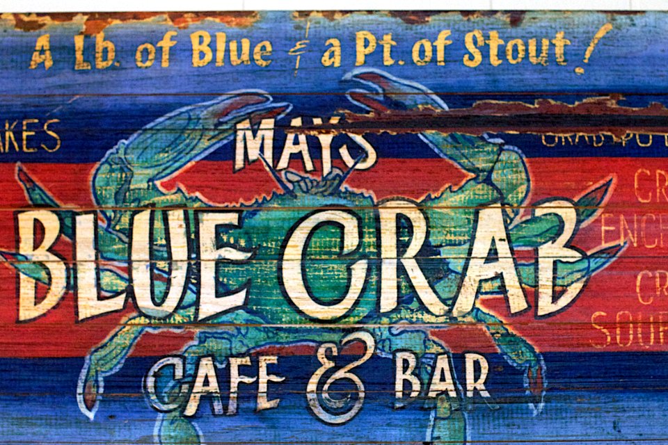 A Long Way from the Chesapeake Bay
