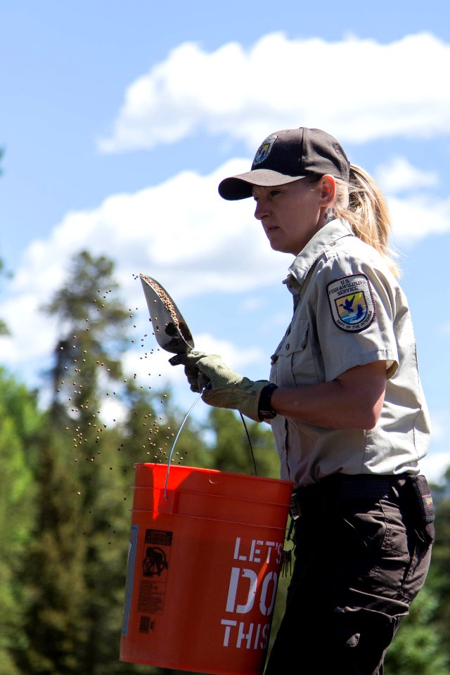 Feeding rainbow trout at Leadville National Fish Hatchery