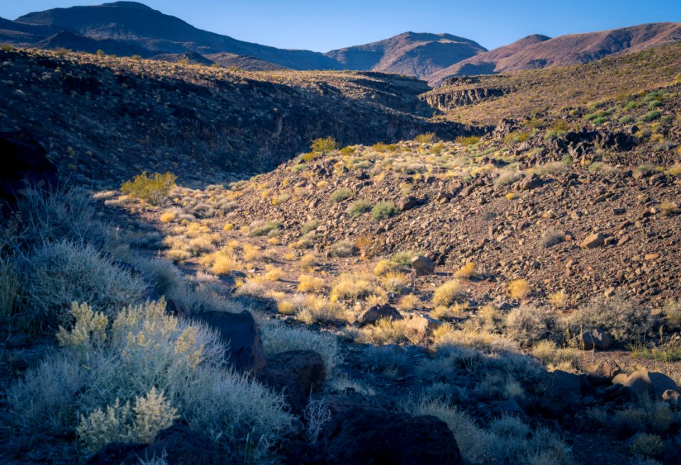 Malpais Mesa Wilderness