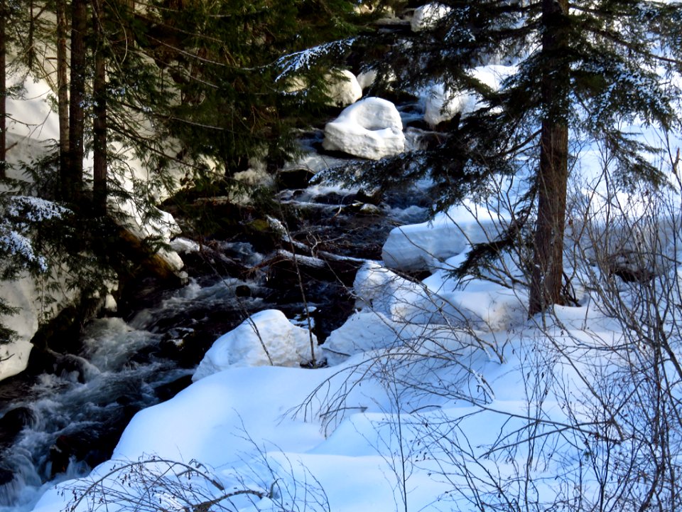 Tamanawas Falls Trail at Mt. Hood in Oregon