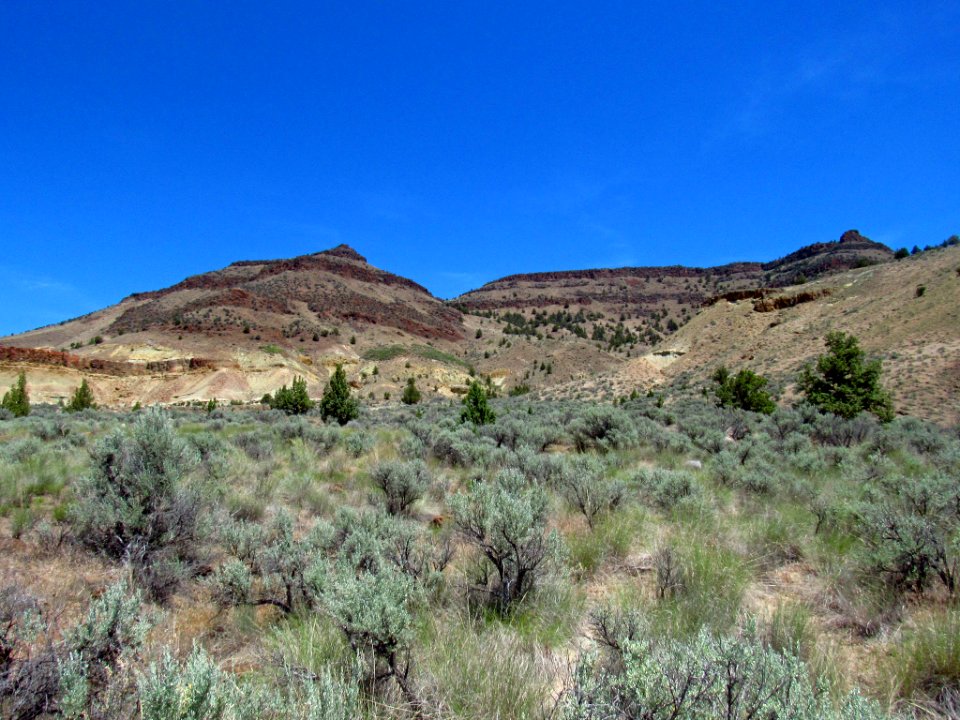 John Day Fossil Beds NM in OR