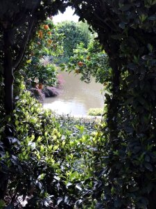 Garden secret lake photo