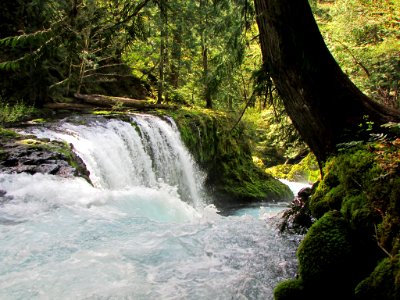 Spirit Falls Trail on Little White Salmon River in WA