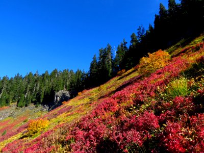 Autumn at Yellow Aster Butte in WA photo