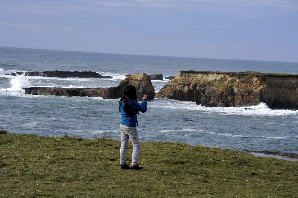 Point Arena-Stornetta unit of the California Coastal National Monument