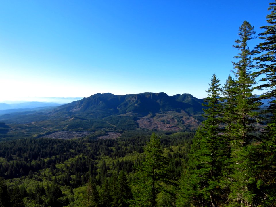Saddle Mountain Trail in OR