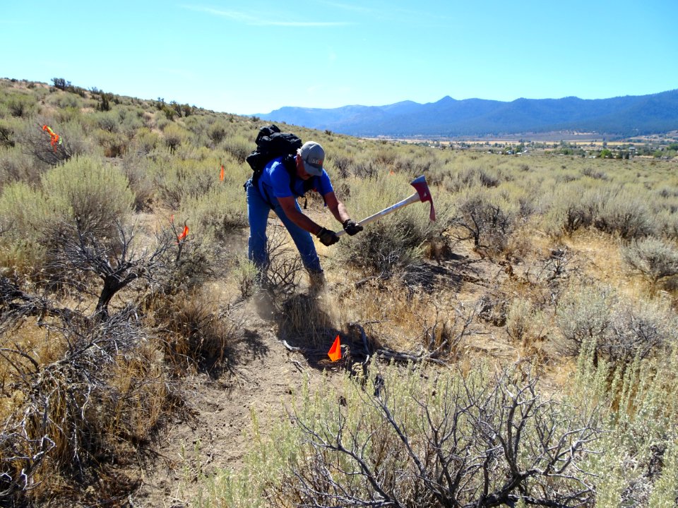 #NPLD 2016: Bald Mountain Trails + Clean-up