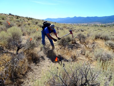 #NPLD 2016: Bald Mountain Trails + Clean-up