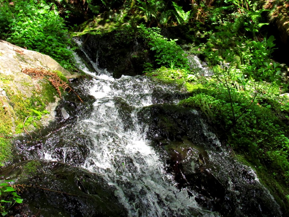 Fern Falls at Jedediah Smith Redwoods SP in California