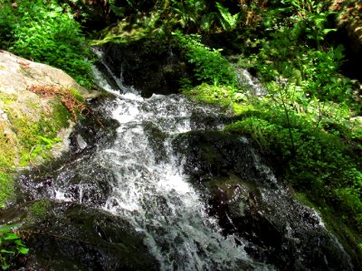 Fern Falls at Jedediah Smith Redwoods SP in California photo