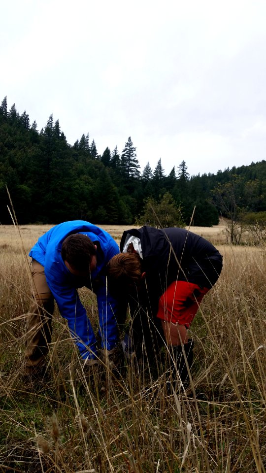 Celebrating 10 Years of Wilderness in the King Range