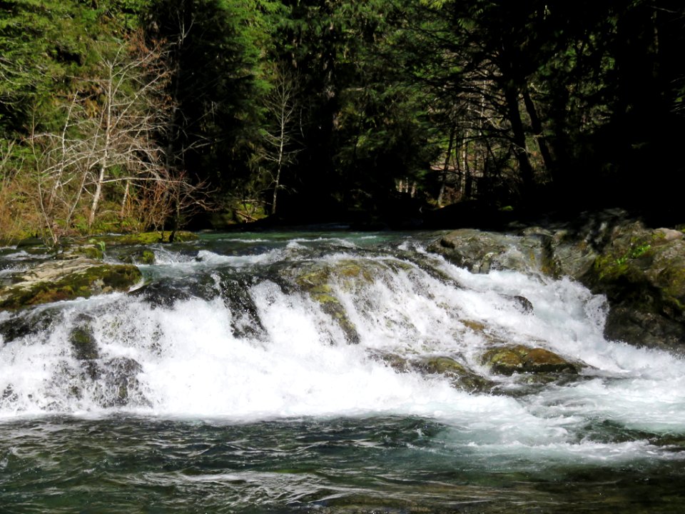 Slide Falls at Opal Creek Wilderness in Oregon