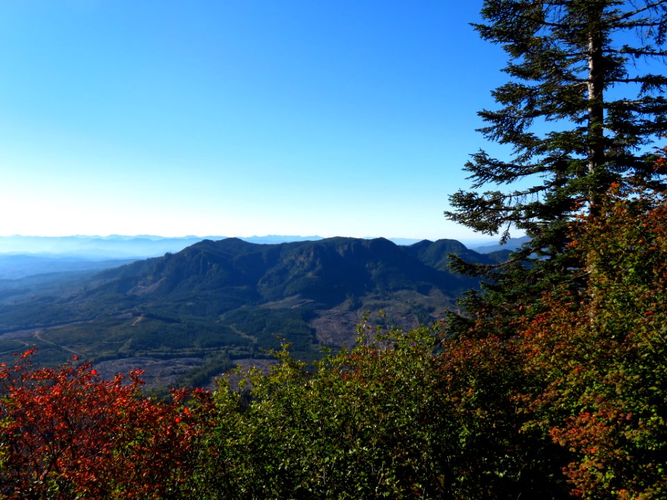 Saddle Mountain Trail in OR