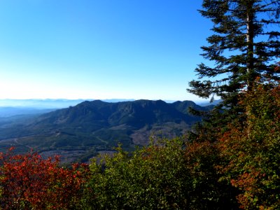 Saddle Mountain Trail in OR