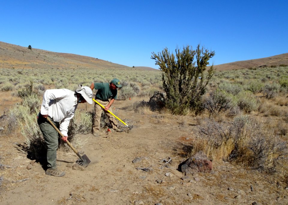 #NPLD 2016: Bald Mountain Trails + Clean-up