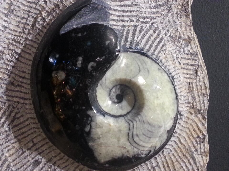 Mineral stone spiral