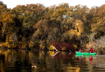 Cosumnes River Preserve