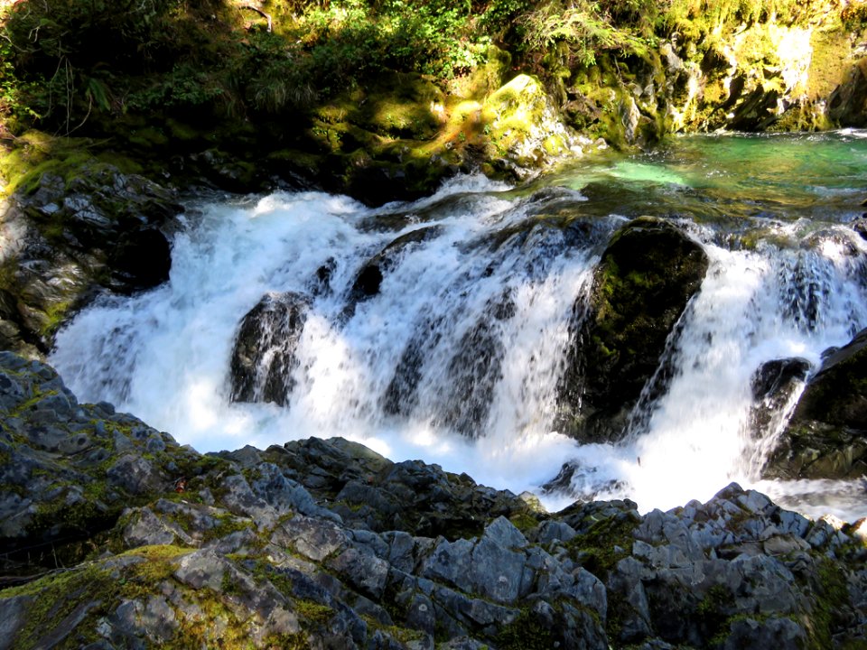 Opal Creek Wilderness in Oregon