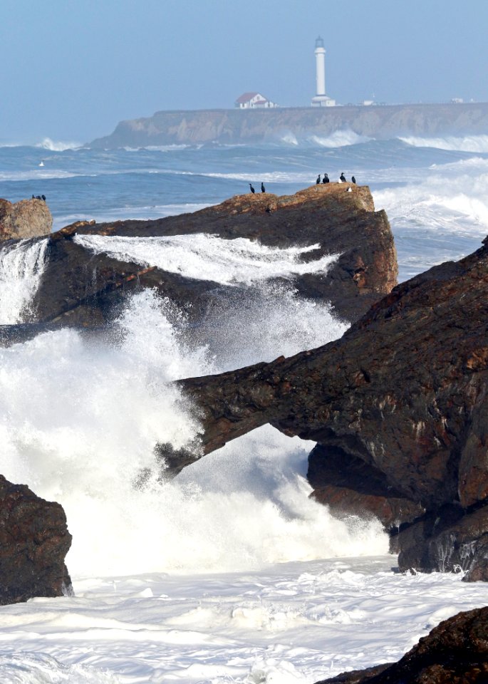 Point Arena-Stornetta unit of the California Coastal National Monument