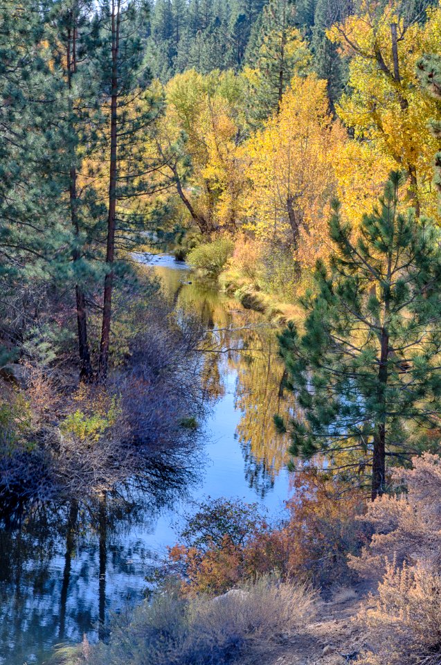 Bizz Johnson Trail
